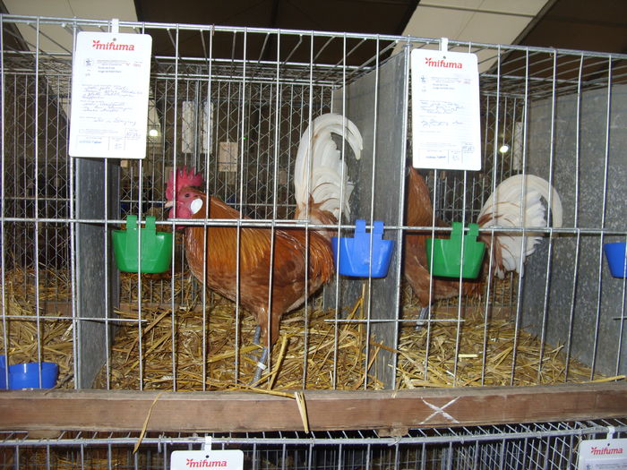 SDC14532