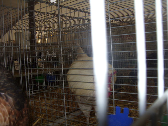 SDC14544