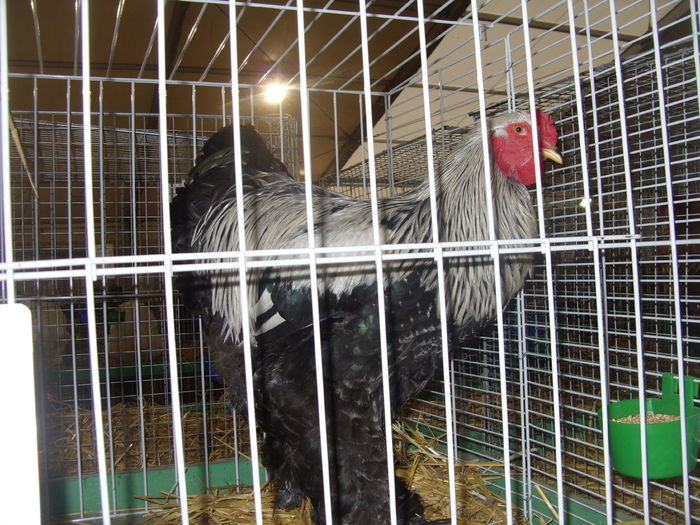 SDC14549