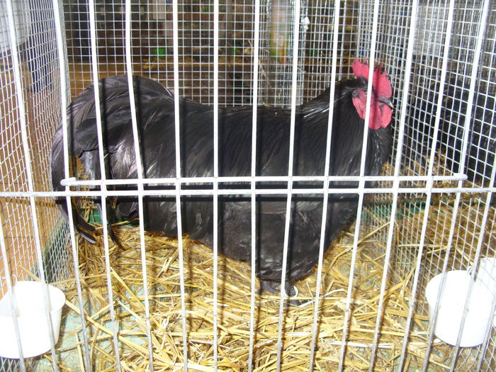SDC14552