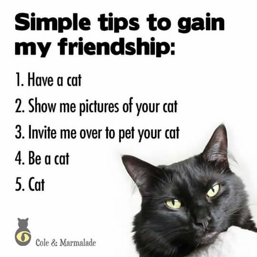 tumblr_nyfzv4Y9Hh1rb4umko1_540