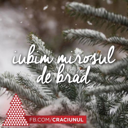 - Christmas