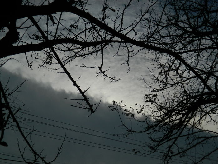 DSCN4575 - 2015_NOIEMBRIE_2