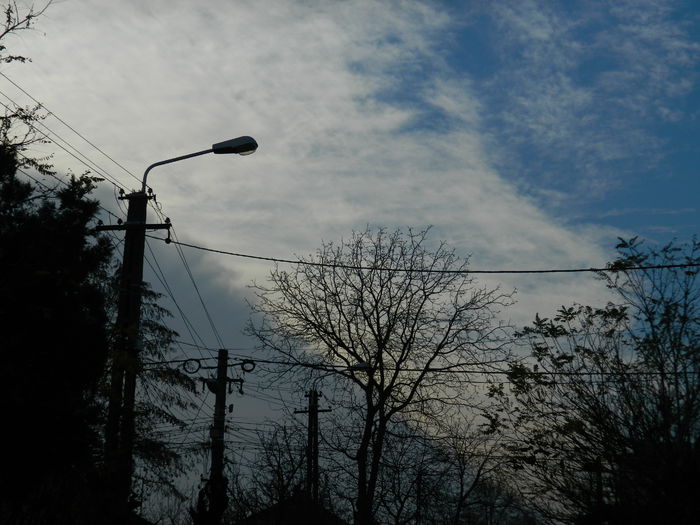 DSCN4582 - 2015_NOIEMBRIE_2
