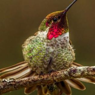 668683_51c32e49e383ad9ba59c90c2cdad56e0_mdsq