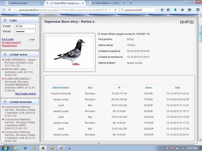 licitatia cand am cumparat  inapoi femela - Puii care au plecat la Columbodromul SUPERSTAR 2015