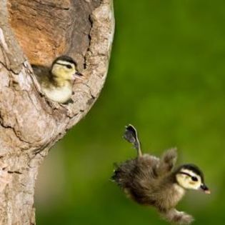 669049_e8557de2b26791c634f226b287643b56_mdsq