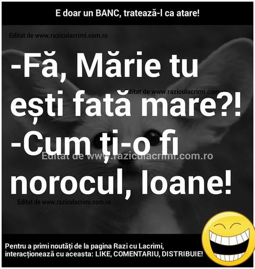 12243501_1018687544818126_5387271228538532671_n - Diverse