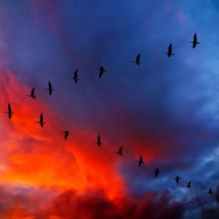 669198_db6411e28a67c0dfd43299f1ba837e35_mdsq