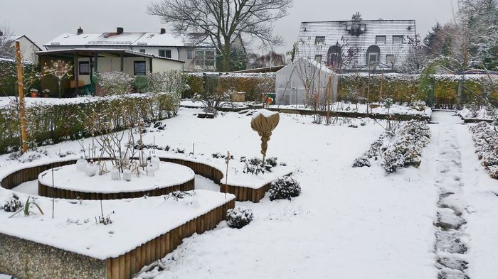 20151128_123619 - 2015 - 02 - Toamna si Iarna