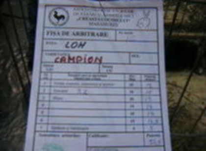 EXPO 2015 MARAMURES - EXPOZITII MARAMURES