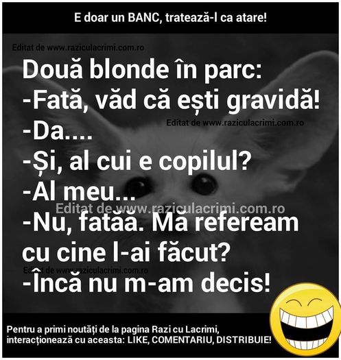 12227143_1018714411482106_5677480940514467179_n - Diverse