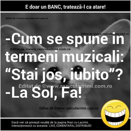 12241389_1016530855033795_833834856314528967_n - Diverse