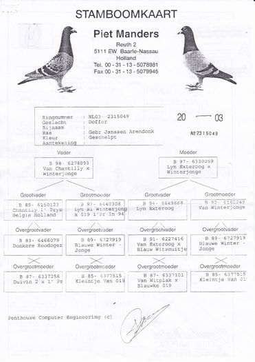 PEDIGREE BUNIC-RO-09-1014720-M