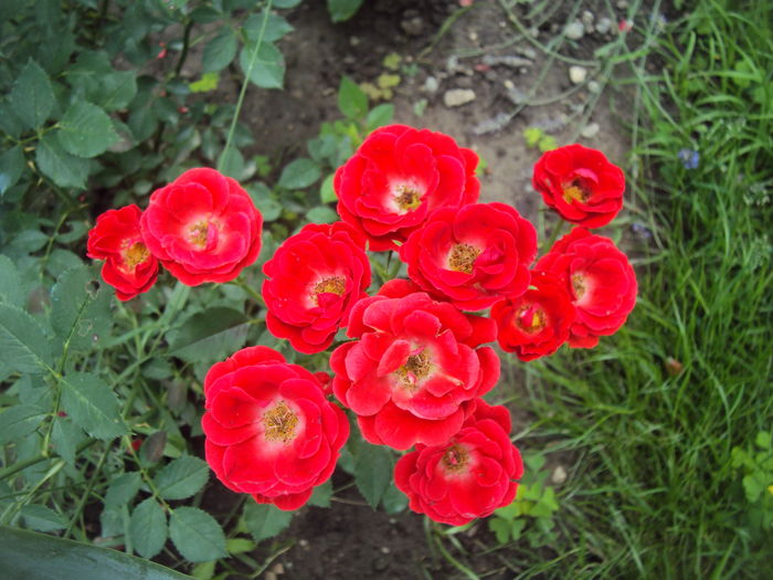 DSC01586 - Little Granada