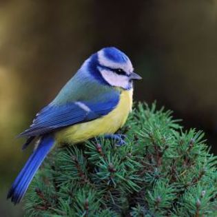 670101_96c9c85c2a2edfef2878a1ed96d4fe1c_mdsq