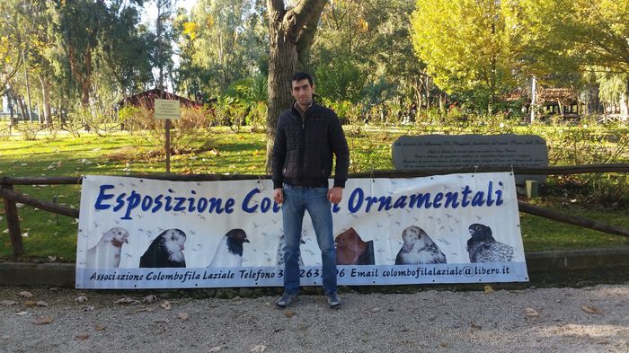 20151129_101213 - CAMPIONI EXPO  ASOCIAZIONE COLUMBOFILA LAZIALE UNITE  2015