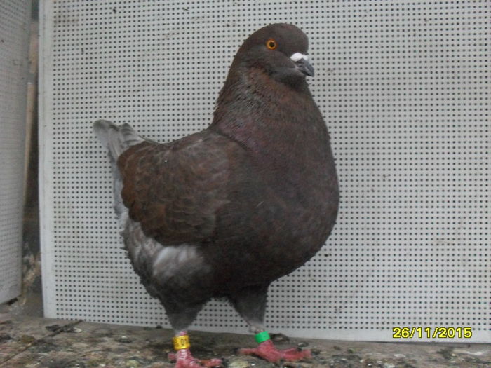 SDC13927