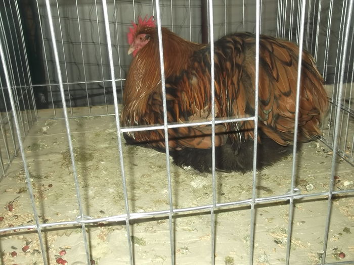 ajajajajajajajaj 052