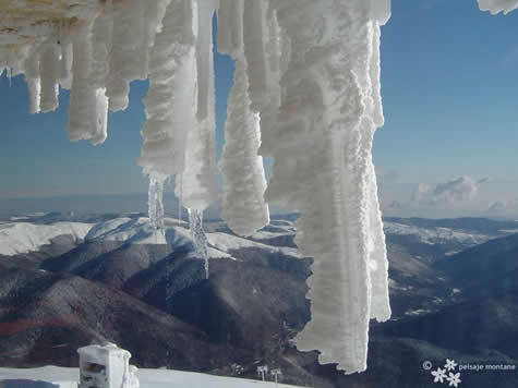 medii-bucegi-valea-prahovei-72