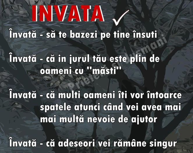  - adevarul adevarat