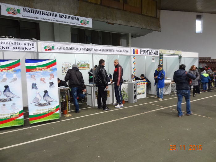 DSC07480 - u EXPO NATIONALA A BULGARIEI SOFIA  27 NOV-29NOV 2015