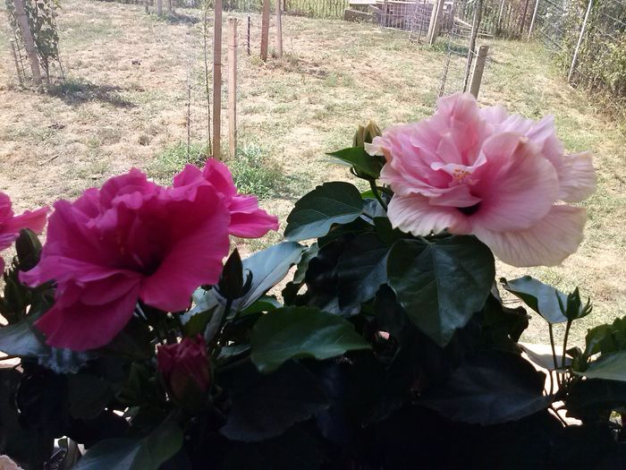 CAM00145