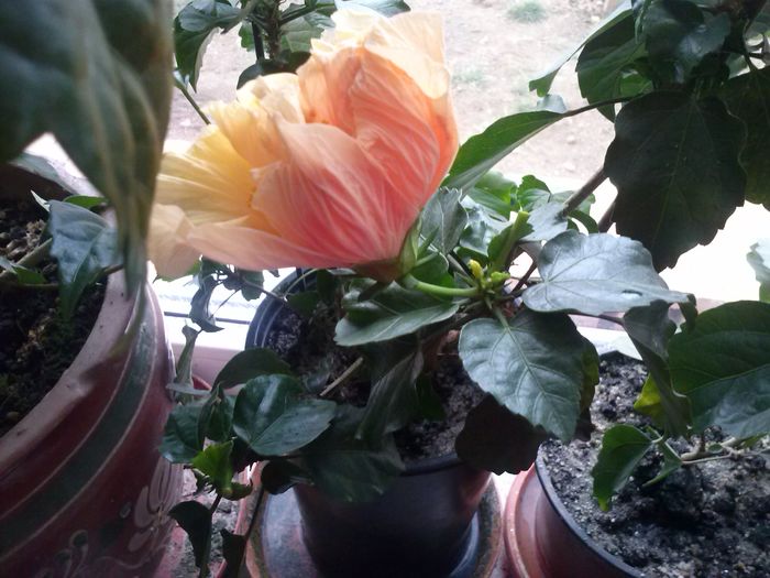 CAM00261