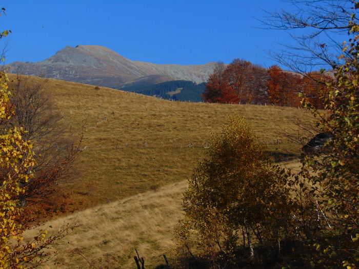DSC01789 - Toamna 2015