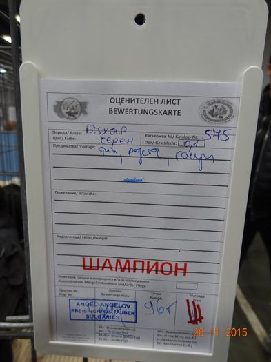 DSC07546
