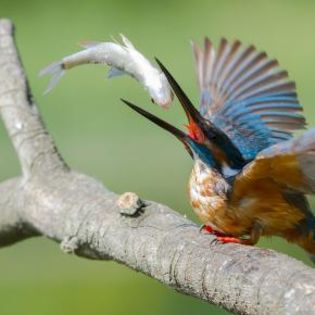 670862_303ea870e5c83fd367bc0fe02839c4b0_mdsq