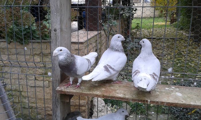 20151110_095622; m 2012
