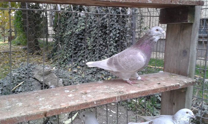 20151110_095716; m 2014
