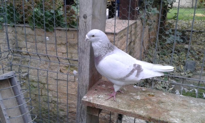 20151110_095745; m 2012
