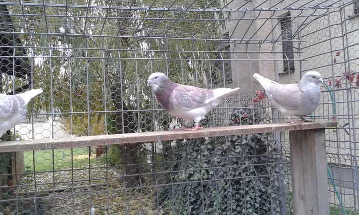 20151110_100036; m 2014
