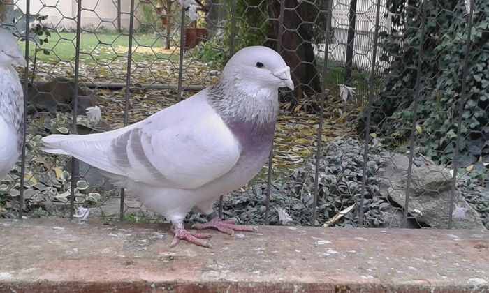 20151110_100627; m 2014
