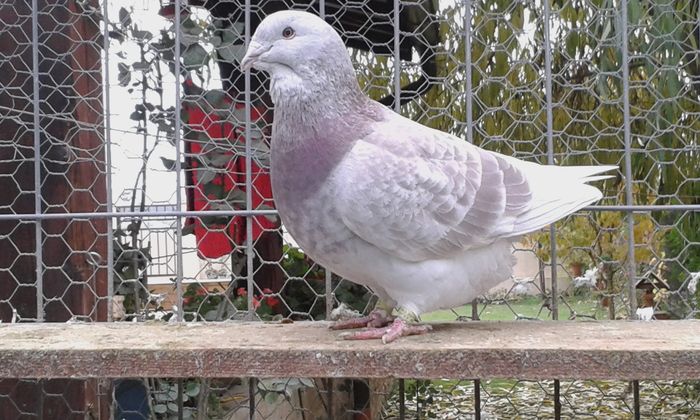 20151110_100708; f 2013
