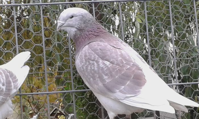 20151110_102348; m2014
