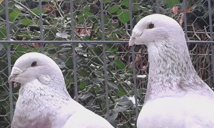 20151110_102448; f 2013 si m2014
