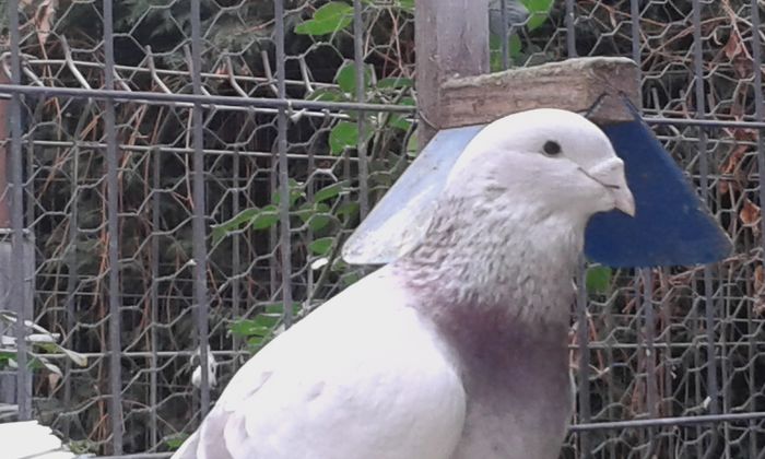 20151110_102458; m 2015
