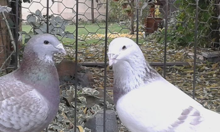 20151110_102602; m si f 2014
