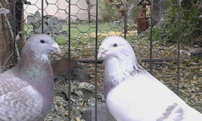 20151110_102605; m si f 2014
