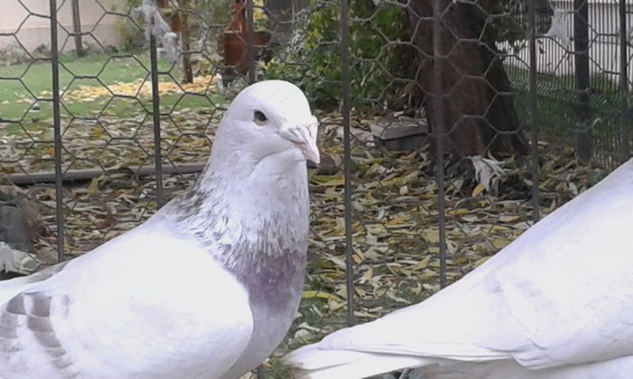 20151110_102617; m 2014
