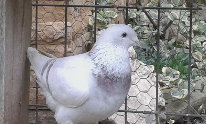 20151110_102656; f 2015
