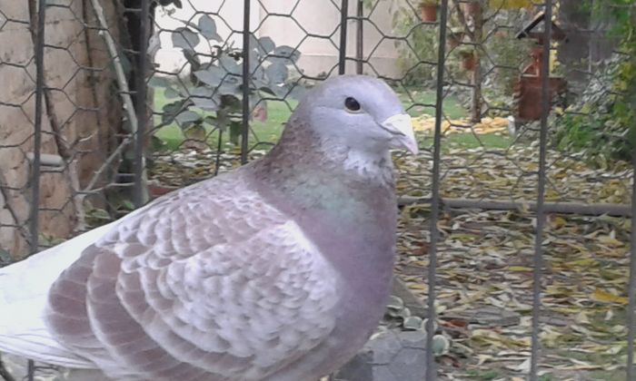 20151110_102703; f 2014
