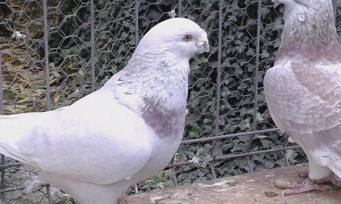 20151110_102830; m 2012
