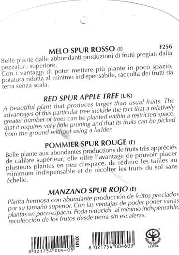 Spur Rosso 1