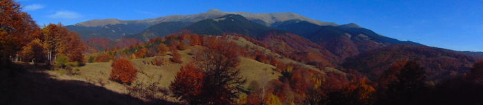 DSC01805 - Toamna 2015