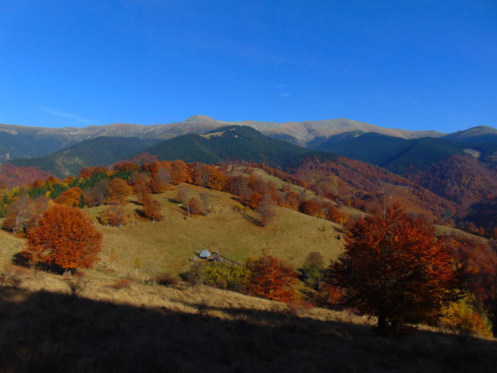 DSC01811 - Toamna 2015