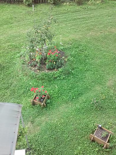 20150822_123522 - FLORI 2015